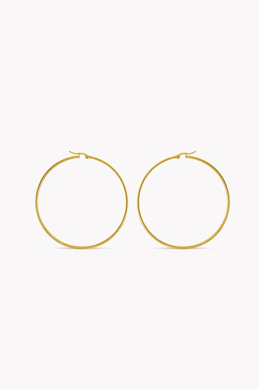 Timeless Hoops